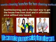 Seattle house cleaner