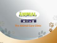 Animal Care Clinic