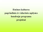 Etnines kulturos