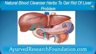 Natural Blood Cleanser Herbs To Get Rid Of Liver Problem