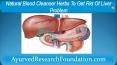 Natural Blood Cleanser Herbs To Get Rid Of Liver Problem PowerPoint PPT Presentation