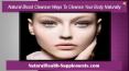 Natural Blood Cleanser Ways To Cleanse Your Body Naturally PowerPoint PPT Presentation