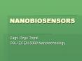 NANOBIOSENSORS PowerPoint PPT Presentation