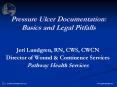 Pressure Ulcer Documentation: Basics and Legal Pitfalls PowerPoint PPT Presentation