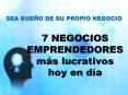Sea dueño de su propio negocio con los 7 NEGOCIOS EMPRENDEDORES más lucrativos hoy en día, PowerPoint PPT Presentation