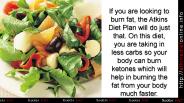 Enjoy The Atkins Diet - Free 1000 Recipes