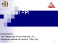 CPI and PPI PowerPoint PPT Presentation