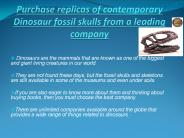 Museum Quality Dinosaur Skulls and Mammals Skulls