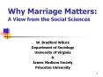 Why Marriage Matters: A View from the Social Sciences PowerPoint PPT Presentation