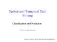 Spatial and Temporal Data Mining PowerPoint PPT Presentation
