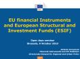 EU financial Instruments and European Structural and Investment Funds (ESIF) PowerPoint PPT Presentation