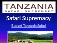 Tanzania Tours Safaris