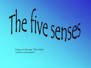 The five senses