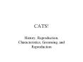 CATS! PowerPoint PPT Presentation