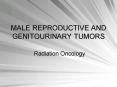 MALE REPRODUCTIVE AND GENITOURINARY TUMORS PowerPoint PPT Presentation