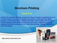 Brochure Printing