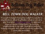 Dog Walker Seattle