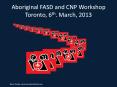 Aboriginal FASD and CNP Workshop Toronto, 6th. March, 2013 PowerPoint PPT Presentation