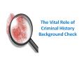 The Vital Role of Criminal History Background Check PowerPoint PPT Presentation