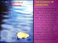 The Essence of Awakening PowerPoint PPT Presentation