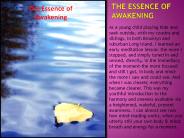 The Essence of Awakening