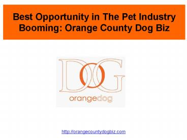 Best Opportunity in The Pet Industry Booming: Orange County Dog Biz