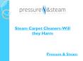 Steam Carpet Cleaners-Will they Harm PowerPoint PPT Presentation