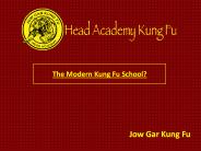 The Modern Kung Fu School?