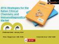 Italian Clinical Chemistry and Immunodiagnostics Market Strategic Analysis for 2014 PowerPoint PPT Presentation