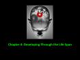 Chapter 4: Developing Through the Life Span PowerPoint PPT Presentation