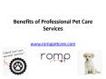 Philadelphia Dog Walking Service -  www.romppetcare.com PowerPoint PPT Presentation