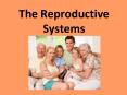 The Reproductive Systems PowerPoint PPT Presentation