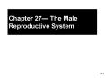 Chapter 27 PowerPoint PPT Presentation