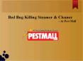 Bed Bug Killing Steamer & Cleaner PowerPoint PPT Presentation
