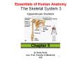 Essentials of Human Anatomy The Skeletal System 3 Appendicular Skeleton PowerPoint PPT Presentation