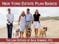 New York Estate Plan Basics PowerPoint PPT Presentation