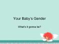 Your Baby’s Gender - What's it gonna be? PowerPoint PPT Presentation