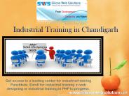 6 Months Industrial Training