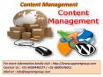Content Management Nagpur PowerPoint PPT Presentation