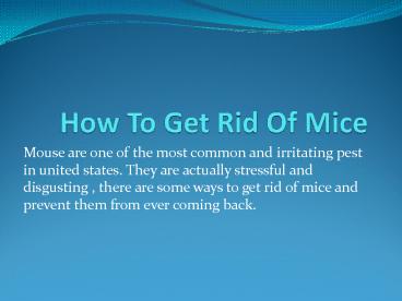  Pest control service Charleston |  Mice pest control Columbia