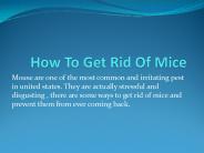  Pest control service Charleston |  Mice pest control Columbia