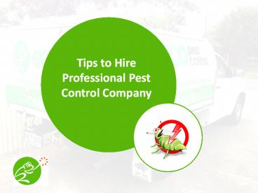 Advanced pest control in Adelaide