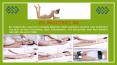 Body Contouring PowerPoint PPT Presentation