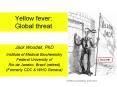 Yellow fever: Global threat PowerPoint PPT Presentation