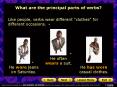 What are the principal parts of verbs? PowerPoint PPT Presentation