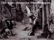 This week: Protection from Pathogens