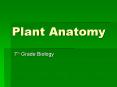 Plant Anatomy PowerPoint PPT Presentation