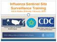 Influenza Sentinel Site Surveillance Training Addis Ababa, Ethiopia: February, 2010 PowerPoint PPT Presentation