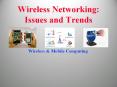 Wireless Networking: Issues and Trends PowerPoint PPT Presentation