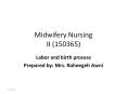 Midwifery Nursing II (150365) PowerPoint PPT Presentation